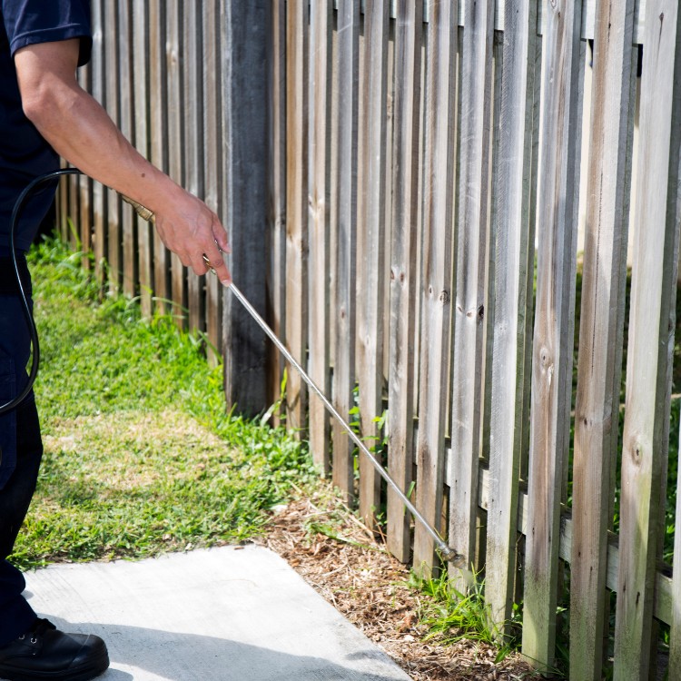 Yard Work in Florida