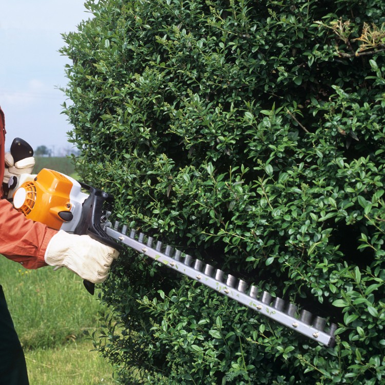 Yard Work in Florida